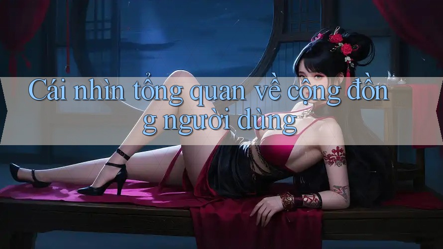 Cái nhìn tổng quan về cộng đồng người dùng