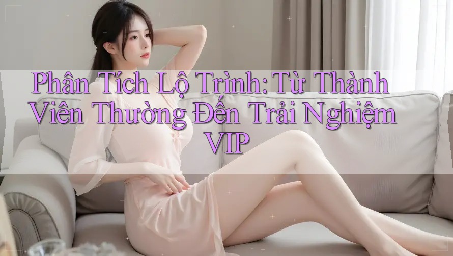 Phân Tích Lộ Trình: Từ Thành Viên Thường Đến Trải Nghiệm VIP